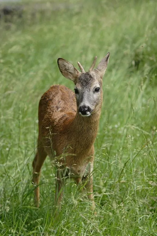 Sromowce Wyżne i okolica