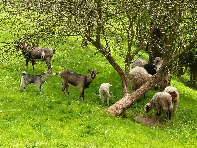 Sromowce Wyżne i okolica